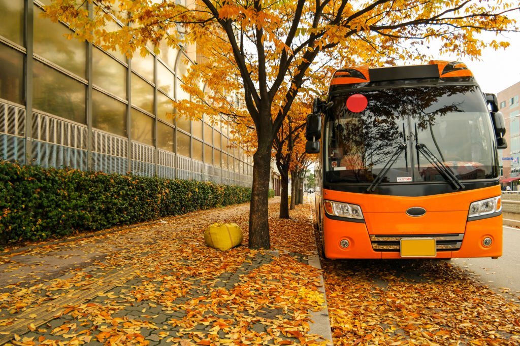 Korea-Bus-Autumn