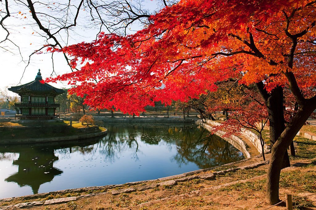 Korea-Autumn-Pavilion