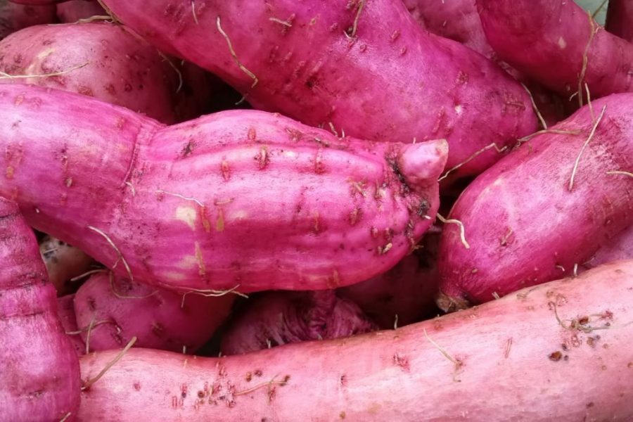 Korean Sweet Potato Diet All You Need To Know (Inc. 7Day Diet Plan