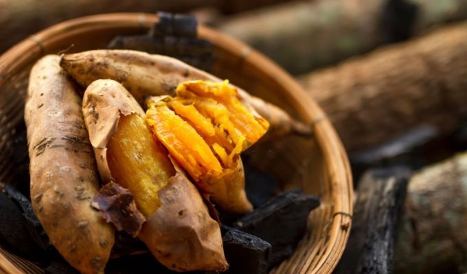 Korean Sweet Potato Diet 1