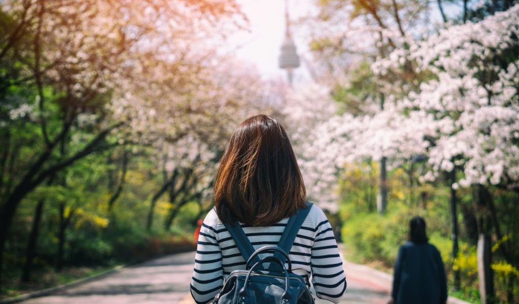 Traveling in South Korea