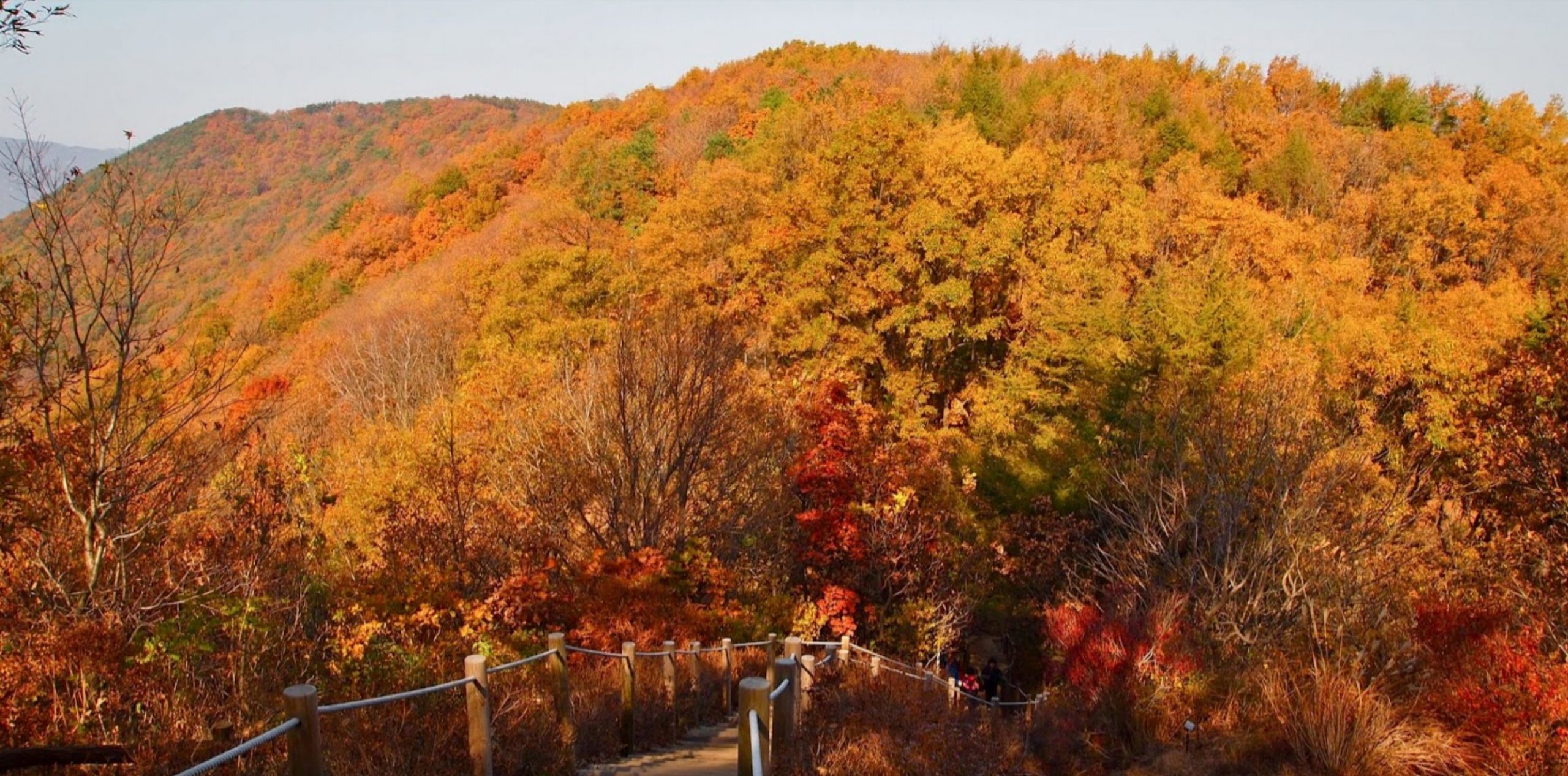 Cheonggyesan Mountain in Autumn