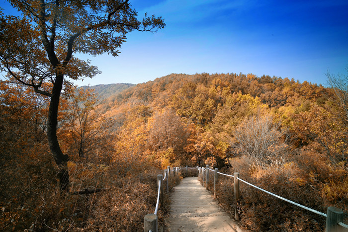 Cheonggyensan Mountain in Autumn