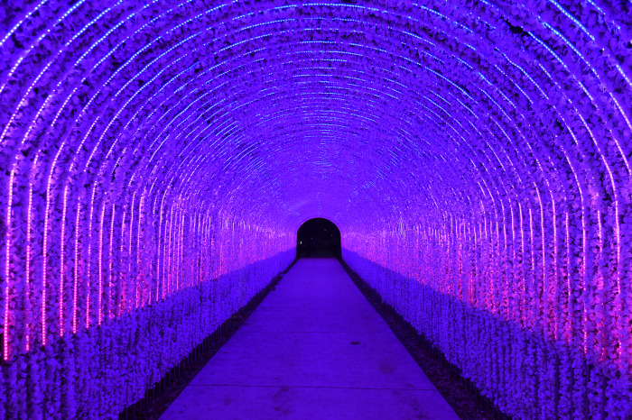 Hwarangdae Railroad Park Lights