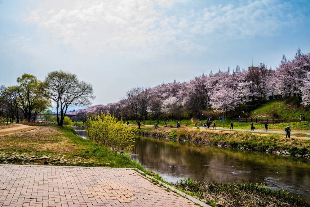 Yangjaecheon Stream Bank 