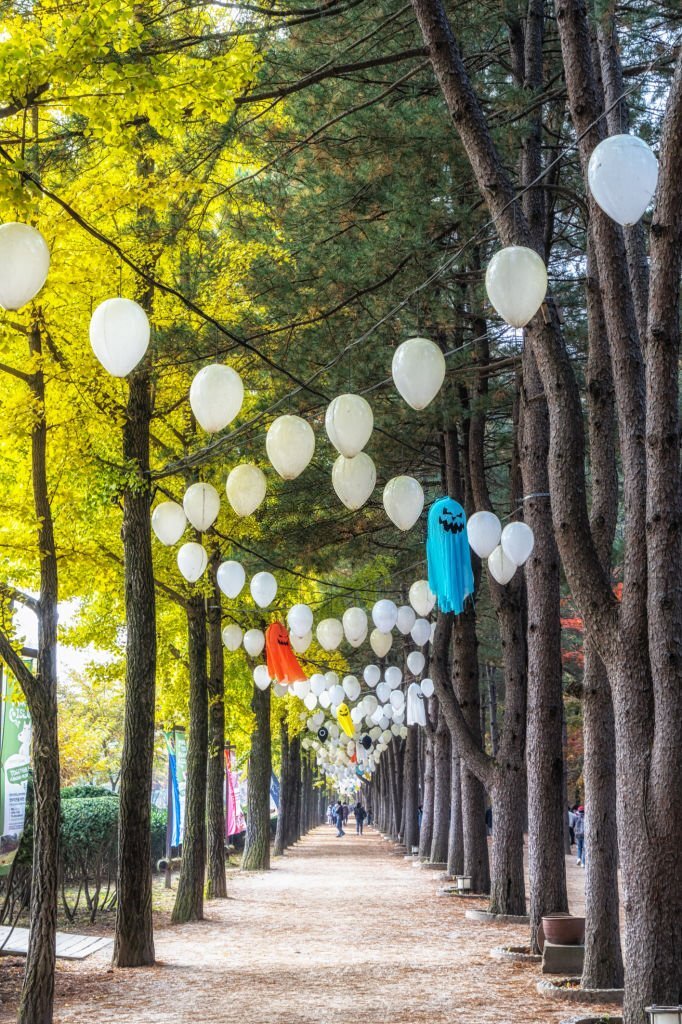 Central-Korean-Pine-Tree-Lane-Nami-Island-Halloween-Lanterns