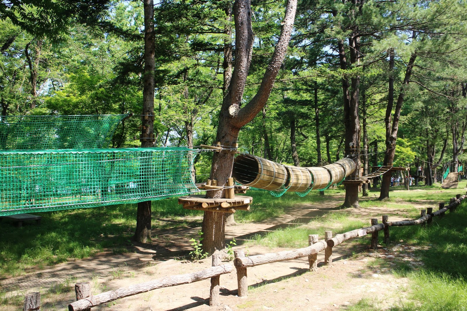 Nami-Island-Forest-Adventure-TreeGo-TreeCoaster
