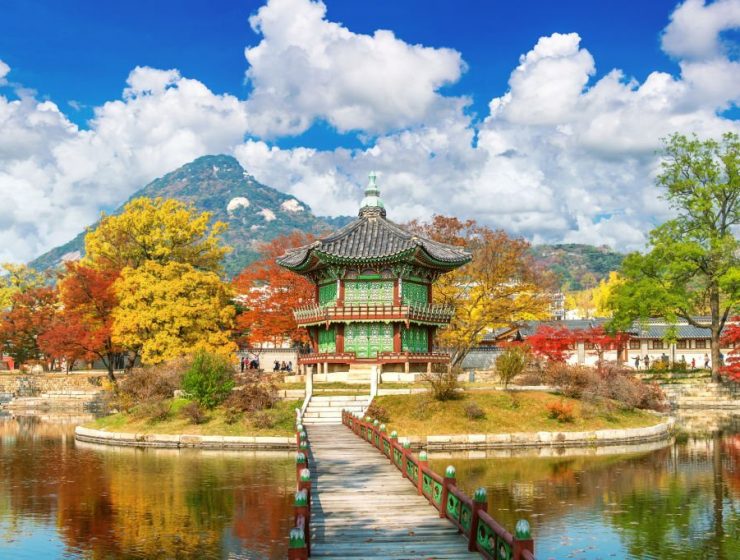 Things To Do During Autumn In Korea