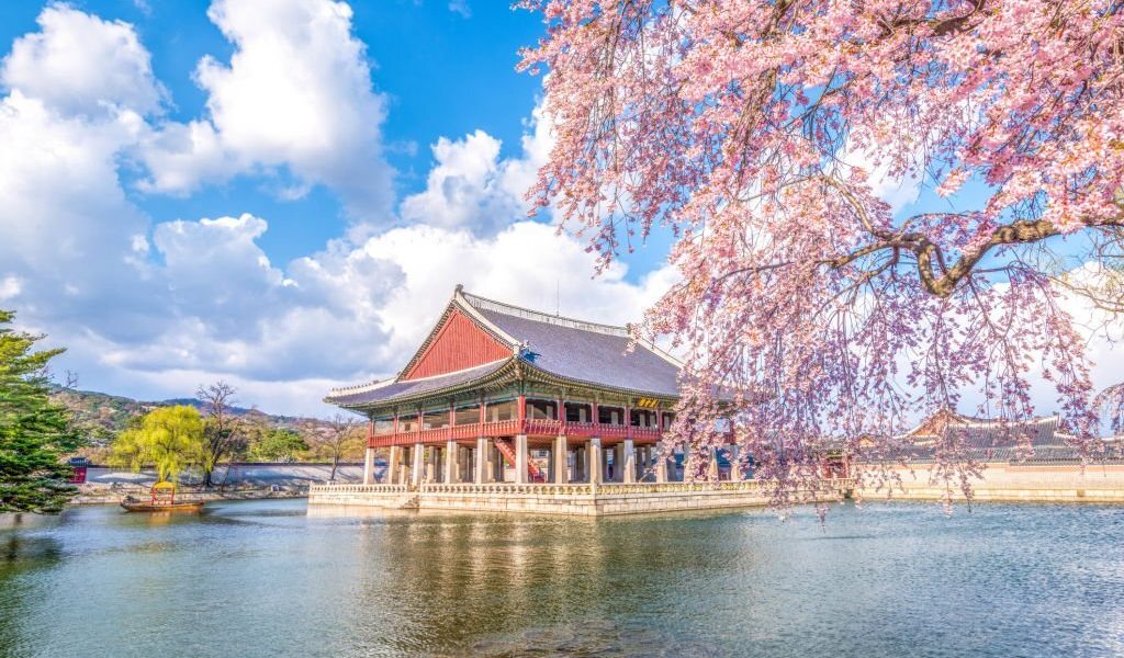 Things To Do In Korea During Spring