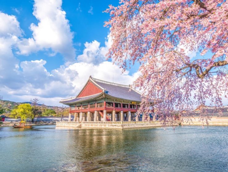 Things To Do In Korea During Spring