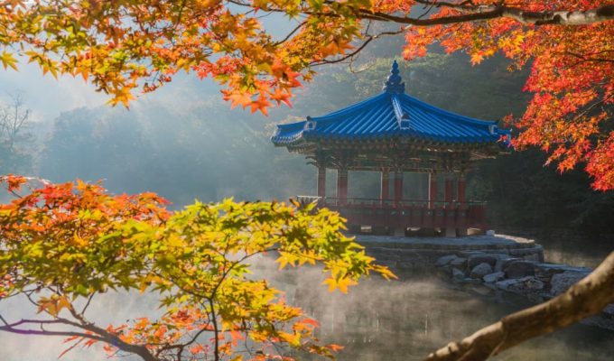 Best Time To Travel To South Korea