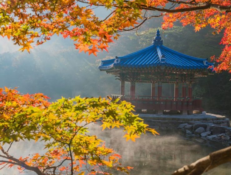 Best Time To Travel To South Korea